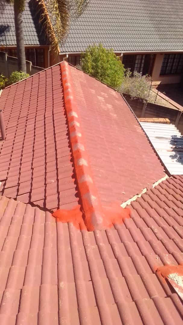 House Painter Sandton